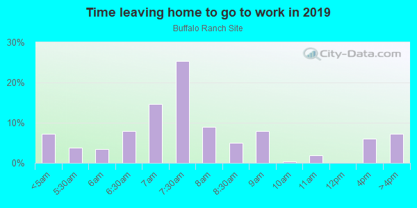 Time Leaving Home for Work in Buffalo Ranch Site in Concord neighborhood in NC