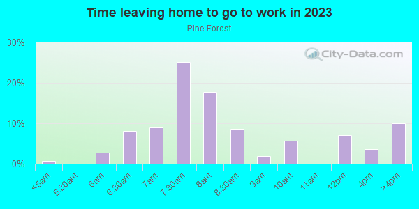 Time Leaving Home for Work in Pine Forest in Monroe neighborhood in NC