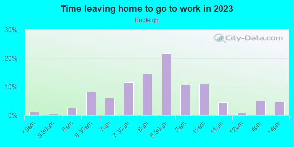Time Leaving Home for Work in Budleigh in Raleigh neighborhood in NC