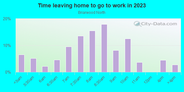 Time Leaving Home for Work in Briarwood North in Raleigh neighborhood in NC