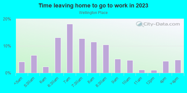 Time Leaving Home for Work in Wellington Place in Cary neighborhood in NC