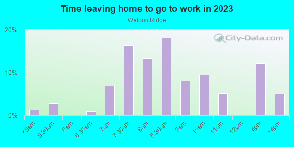 Time Leaving Home for Work in Weldon Ridge in Apex neighborhood in NC