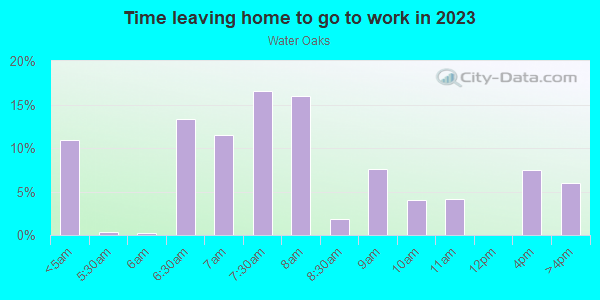 Time Leaving Home for Work in Water Oaks in Garner neighborhood in NC
