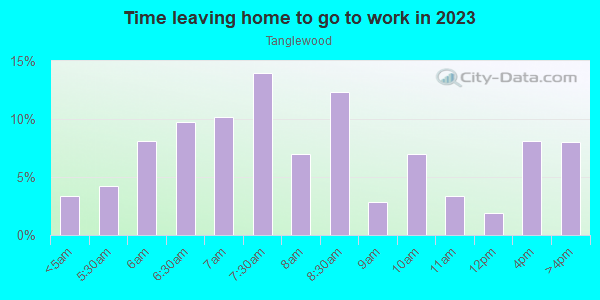 Time Leaving Home for Work in Tanglewood in Cary neighborhood in NC
