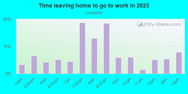 Time Leaving Home for Work in Livingston in Union neighborhood in NJ