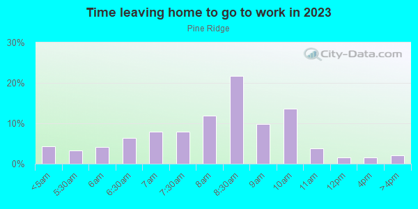 Time Leaving Home for Work in Pine Ridge in East Brunswick neighborhood in NJ