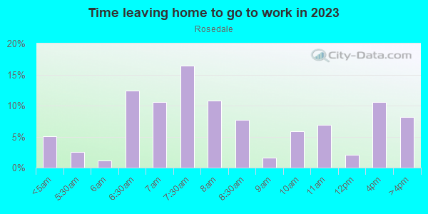 Time Leaving Home for Work in Rosedale in Camden neighborhood in NJ