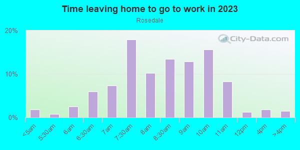 Time Leaving Home for Work in Rosedale in Rosedale neighborhood in NY
