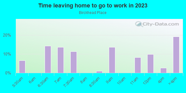 Time Leaving Home for Work in Birckhead Place in Toledo neighborhood in OH