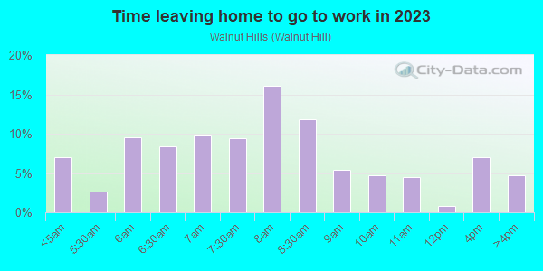 Time Leaving Home for Work in Walnut Hills in Massillon neighborhood in OH