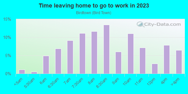 Time Leaving Home for Work in Birdtown in Lakewood neighborhood in OH