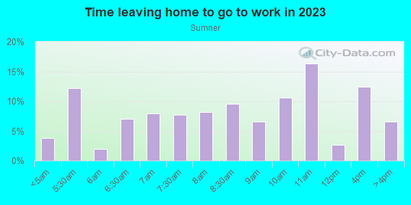 Time Leaving Home for Work in Sumner in Portland neighborhood in OR