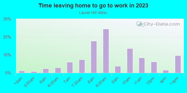 Time Leaving Home for Work in Laurel Hill Valley in Eugene neighborhood in OR
