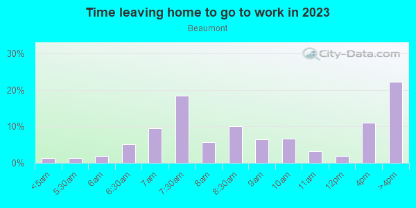 Time Leaving Home for Work in Beaumont in Knoxville neighborhood in TN