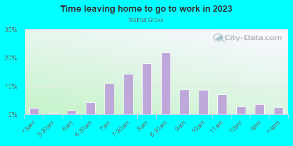 Time Leaving Home for Work in Walnut Grove in Memphis neighborhood in TN