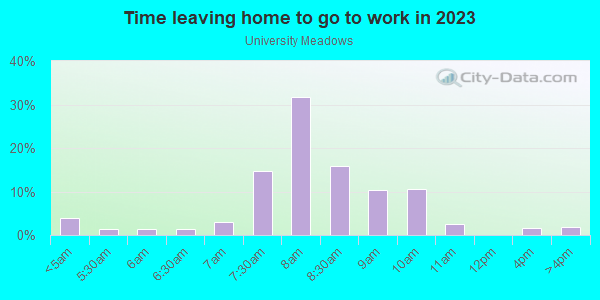 Time Leaving Home for Work in University Meadows in Dallas neighborhood in TX
