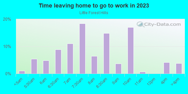 Time Leaving Home for Work in Little Forest Hills in Dallas neighborhood in TX