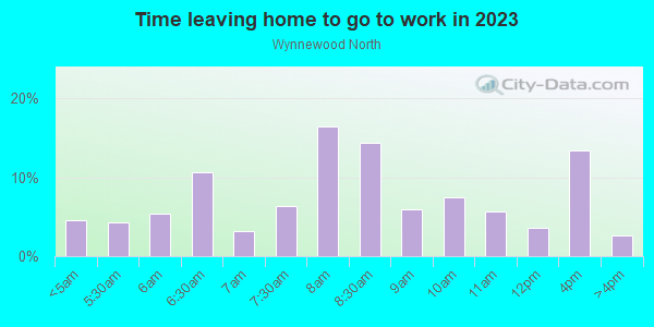 Time Leaving Home for Work in Wynnewood North in Dallas neighborhood in TX