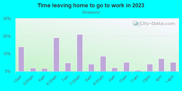 Time Leaving Home for Work in Briarwood in Dallas neighborhood in TX
