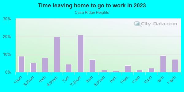 Time Leaving Home for Work in Casa Ridge Heights in Mesquite neighborhood in TX