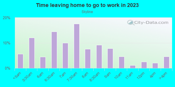 Time Leaving Home for Work in Skyline in Mesquite neighborhood in TX
