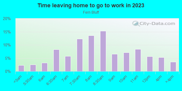 Time Leaving Home for Work in Fern Bluff in Round Rock neighborhood in TX