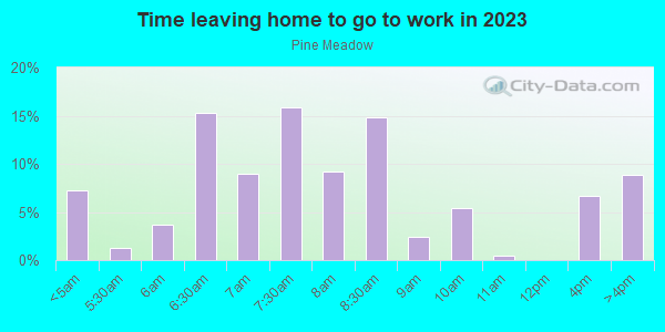 Time Leaving Home for Work in Pine Meadow in Missouri City neighborhood in TX