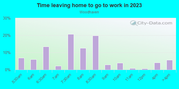 Time Leaving Home for Work in Woodhaven in Irving neighborhood in TX