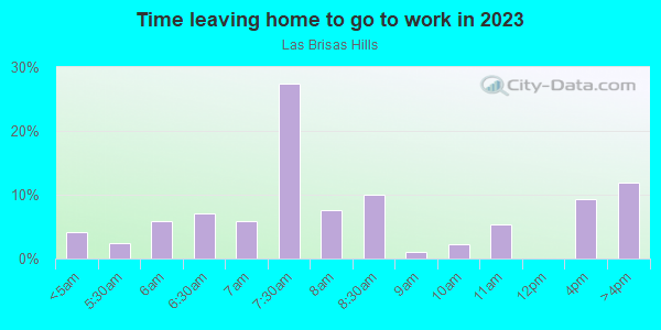 Time Leaving Home for Work in Las Brisas Hills in Irving neighborhood in TX