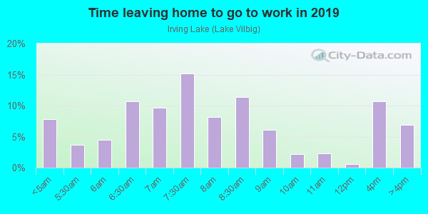Time Leaving Home for Work in Irving Lake in Irving neighborhood in TX