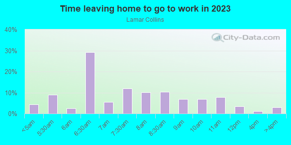 Time Leaving Home for Work in Lamar Collins in Arlington neighborhood in TX