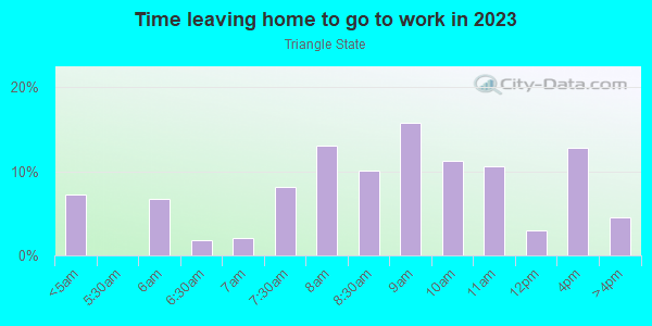 Time Leaving Home for Work in Triangle State in Austin neighborhood in TX