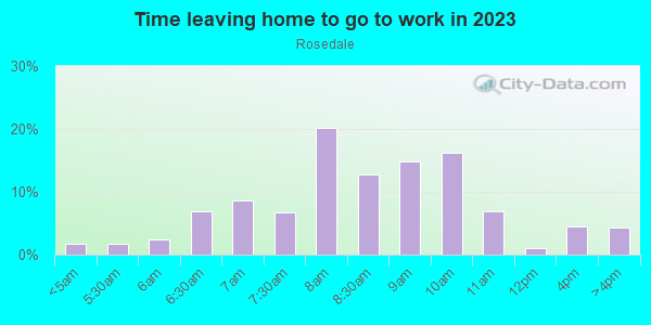 Time Leaving Home for Work in Rosedale in Austin neighborhood in TX