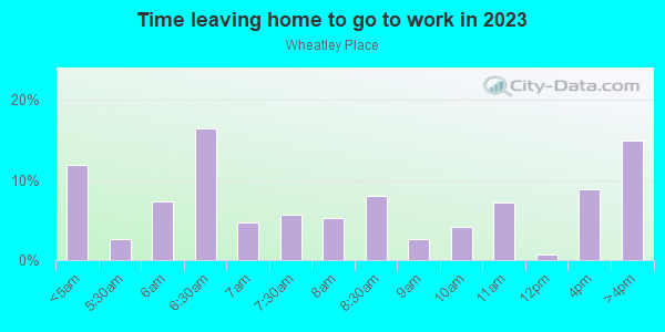 Time Leaving Home for Work in Wheatley Place in Dallas neighborhood in TX