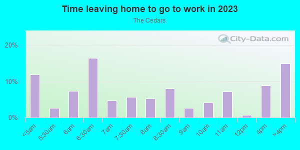 Time Leaving Home for Work in The Cedars in Dallas neighborhood in TX