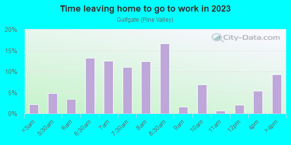 Time Leaving Home for Work in Gulfgate in Houston neighborhood in TX