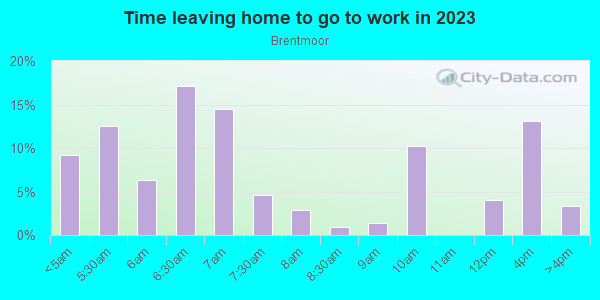 Time Leaving Home for Work in Brentmoor in Fort Worth neighborhood in TX