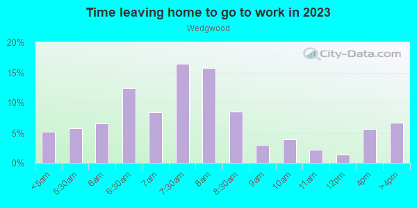 Time Leaving Home for Work in Wedgwood in Fort Worth neighborhood in TX