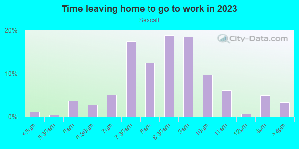 Time Leaving Home for Work in Seacall in Laguna Niguel neighborhood in CA