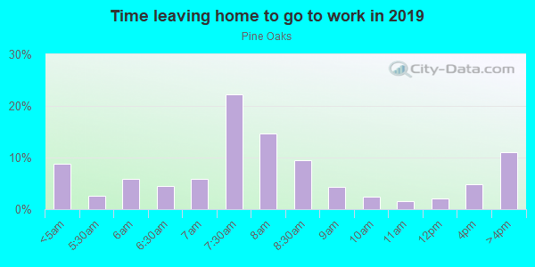 Time Leaving Home for Work in Pine Oaks in Mesquite neighborhood in TX