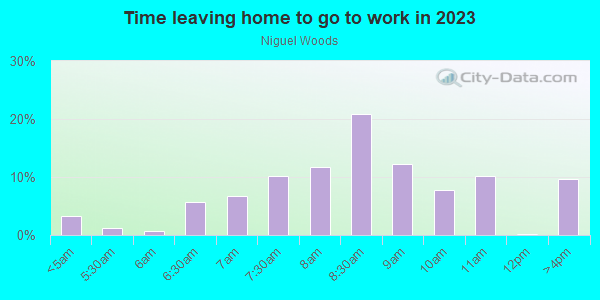 Time Leaving Home for Work in Niguel Woods in Laguna Niguel neighborhood in CA