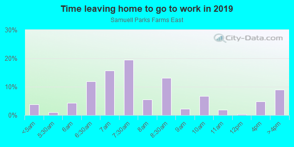 Time Leaving Home for Work in Samuell Parks Farms East in Mesquite neighborhood in TX