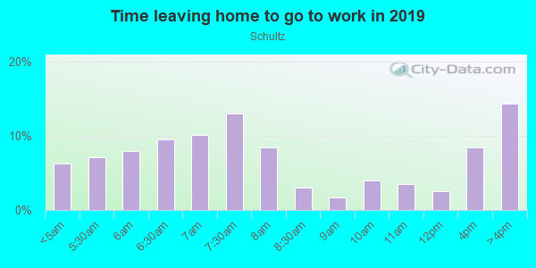 Time Leaving Home for Work in Schultz in Mesquite neighborhood in TX