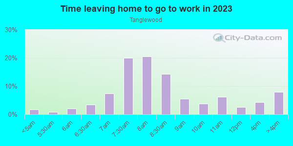 Time Leaving Home for Work in Tanglewood in Dallas neighborhood in TX