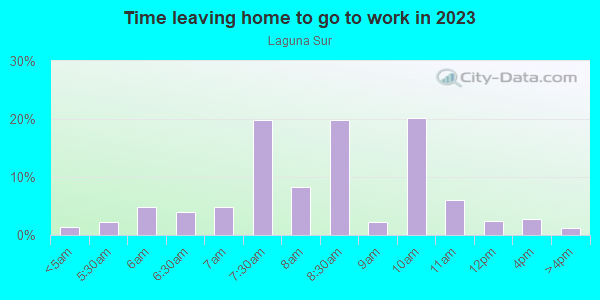 Time Leaving Home for Work in Laguna Sur in Laguna Niguel neighborhood in CA