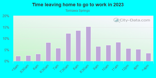 Time Leaving Home for Work in Tonkawa Springs in Round Rock neighborhood in TX