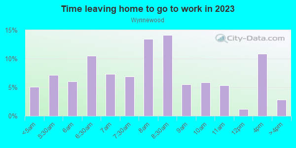 Time Leaving Home for Work in Wynnewood in Dallas neighborhood in TX