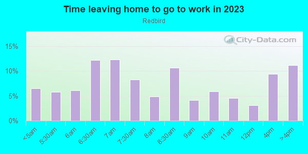Time Leaving Home for Work in Redbird in Dallas neighborhood in TX