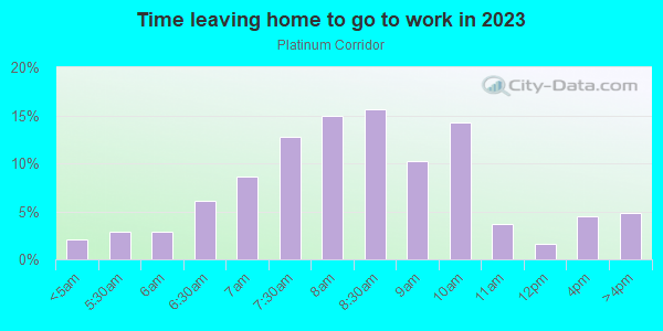 Time Leaving Home for Work in Platinum Corridor in Dallas neighborhood in TX