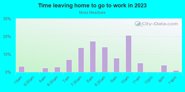 Time Leaving Home for Work in Moss Meadows in Dallas neighborhood in TX